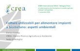 Colture utilizzabili per alimentare impianti a biometano: aspetti 2019. 1. 21.¢  EIMA International