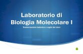 Laboratorio di Biologia Molecolare I - UniPD - 2010