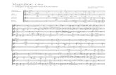 Zelenka - Magnificat in Do Maggiore (Coro)