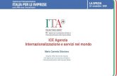 ICE Agenzia Internazionalizzazione e servizi nel ... ICE Agenzia Internazionalizzazione e servizi nel
