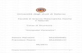 Facoltأ  di Scienze Matematiche Fisiche e Naturali Corso di ... ads/ads/Sicurezza_files/tesina pisano
