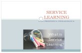 SERVICE LEARNING - Learning. Seminario di Formazione - Service Learning - a cura di Eleonora Benedetti