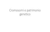 Cromosomi e patrimonio genetico
