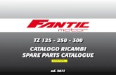 TZ 125 - 250 - 300 CATALOGO RICAMBI SPARE PARTS parts catalogue ENGINE TZ 125-250-300...  catalogo