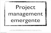 Project management emergente
