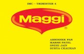 Maggi imc campaign