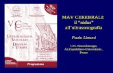 MAV CEREBRALI: il nidus allultrasonografia Paolo Limoni U.O. Neurochirurgia, Az.Ospedaliero-Universitaria, Parma