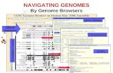 gene details