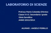 Prof.ssa  Maria Colomba Dâ€™Amico