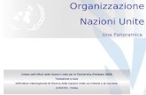 Organizzazione Nazioni Unite Una Panoramica Creato dallUfficio delle Nazioni Unite per le Partnership (Febbraio 2009) Traduzione a cura dellIstituto Interregionale