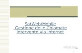 1 SatWeb/Mobile Gestione delle Chiamate Intervento via Internet