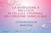 LA DONAZIONE E RACCOLTA DI CELLULE STAMINALI DA CORDONE OMBELICALE LESPERIENZA DI MANTOVA Mantova 14/06/2013 Coordinatrice Ost. Zanini Enrica Ost. Zanella