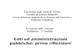 Enti ed amministrazioni pubbliche: prime riflessioni Universit  degli Studi di Trieste Facolt  di Scienze Politiche Corso di laurea magistrale in Scienze