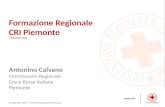 Formazione Regionale CRI Piemonte - 01 Dicembre 2012 - Antonino Calvano Commissario Regionale Croce Rossa Italiana Piemonte 1 Servizio Informatico â€“ Comitato