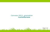 Canvass 2013 â€“promotion Lactoflorene Canvass 2013 â€“promotion Lactoflorene